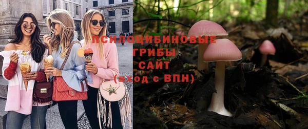 мяу мяу мука Алексеевка