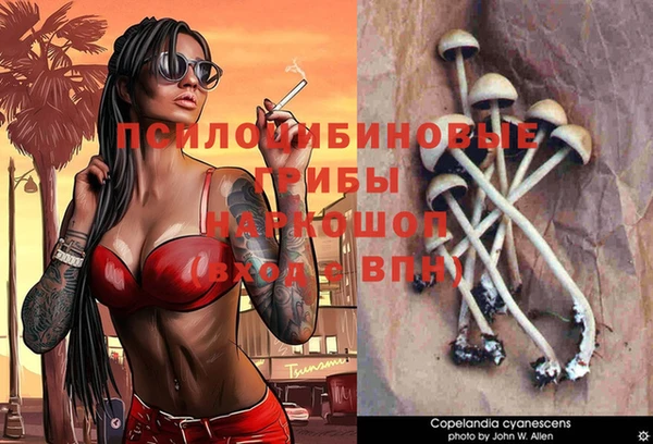 мяу мяу мука Алексеевка